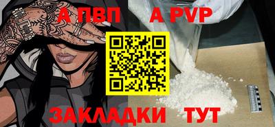 ECSTASY Канаш