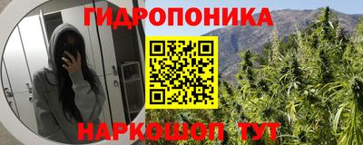 ПСИЛОЦИБИНОВЫЕ ГРИБЫ Камышлов