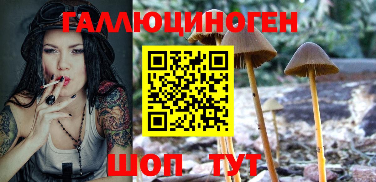Галлюциногенные грибы прущие грибы  Вход с VPN  Лабинск 